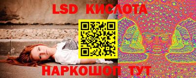 прущие грибы Кунгур