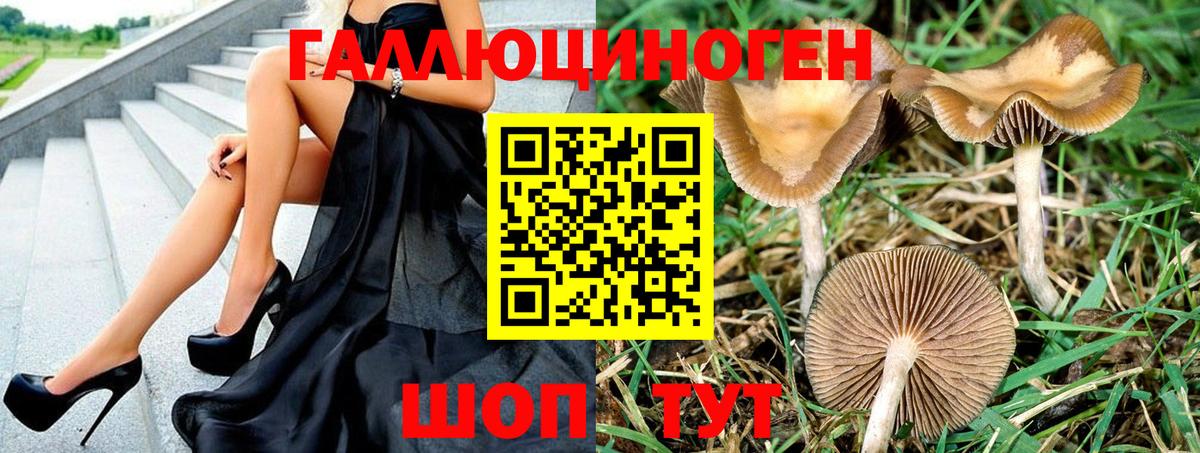 Черкесск  Галлюциногенные грибы Magic Shrooms  Вход с VPN 
